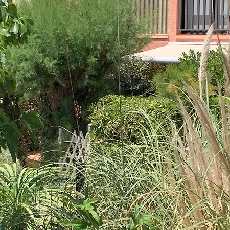 L'amourette - Front De Et Piscine - Parking Prive - Wifi Daire Saint-Cyprien (Pyrenees-Orientales)